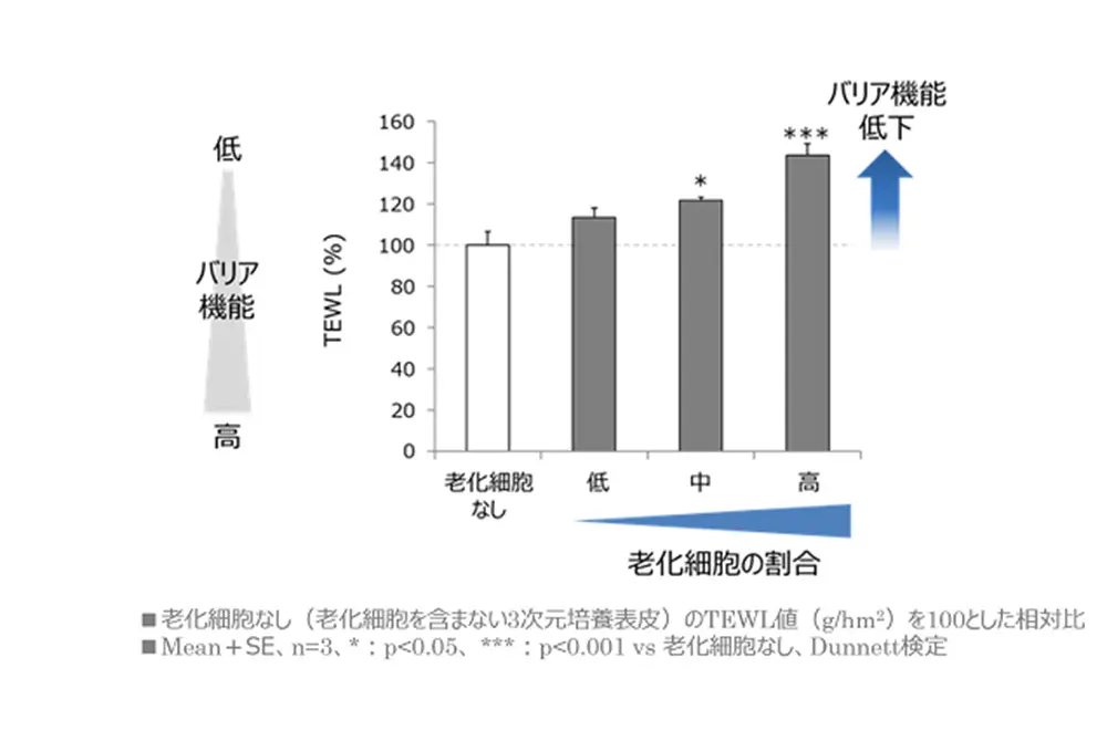 老化細胞が増えるとバリア機能が低下。（出典／大正製薬）