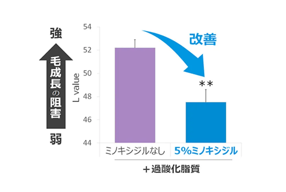 過酸化脂質の影響があってもミノキシジルの効果が確認された。（出典／大正製薬）