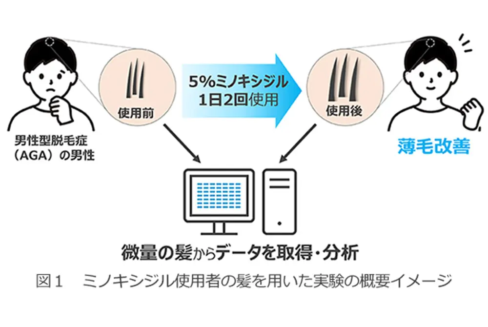 毛髪のデータを集めて分析。（写真／大正製薬）