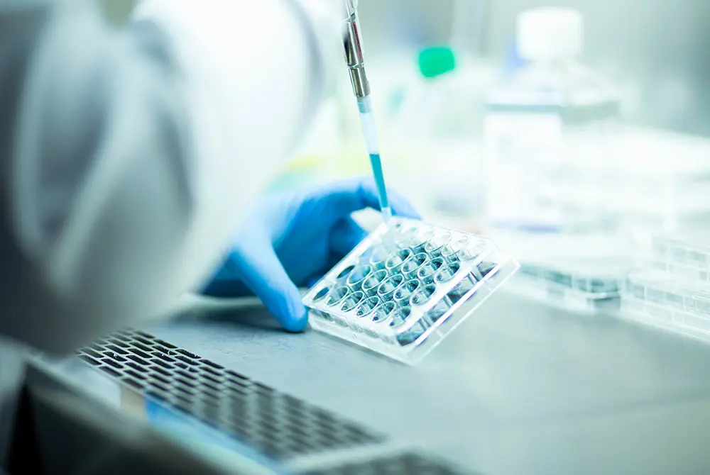 さらに研究が進むと健康長寿の延長は実現する可能性がある。画像はイメージ。（写真／Adobe Stock）