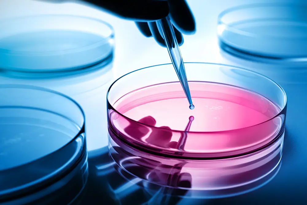 細胞を培養して治療に使う。画像はイメージ。（写真／Adobe Stock）