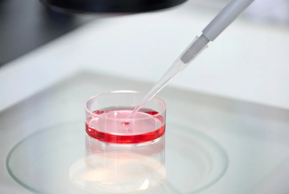 細胞の培養などで衛生管理が保たれていたか？画像はイメージ。（写真／Adobe Stock）