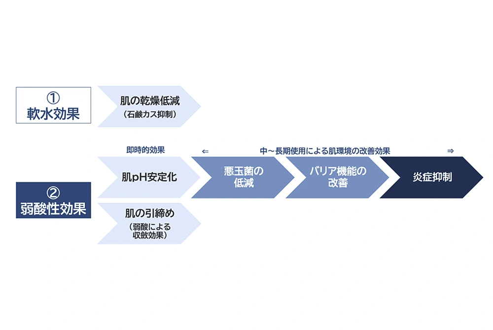 弱酸性軟水が、肌の乾燥低減、pH安定化、悪玉菌の低減、バリア機能改善、炎症抑制につながる可能性を示した図。