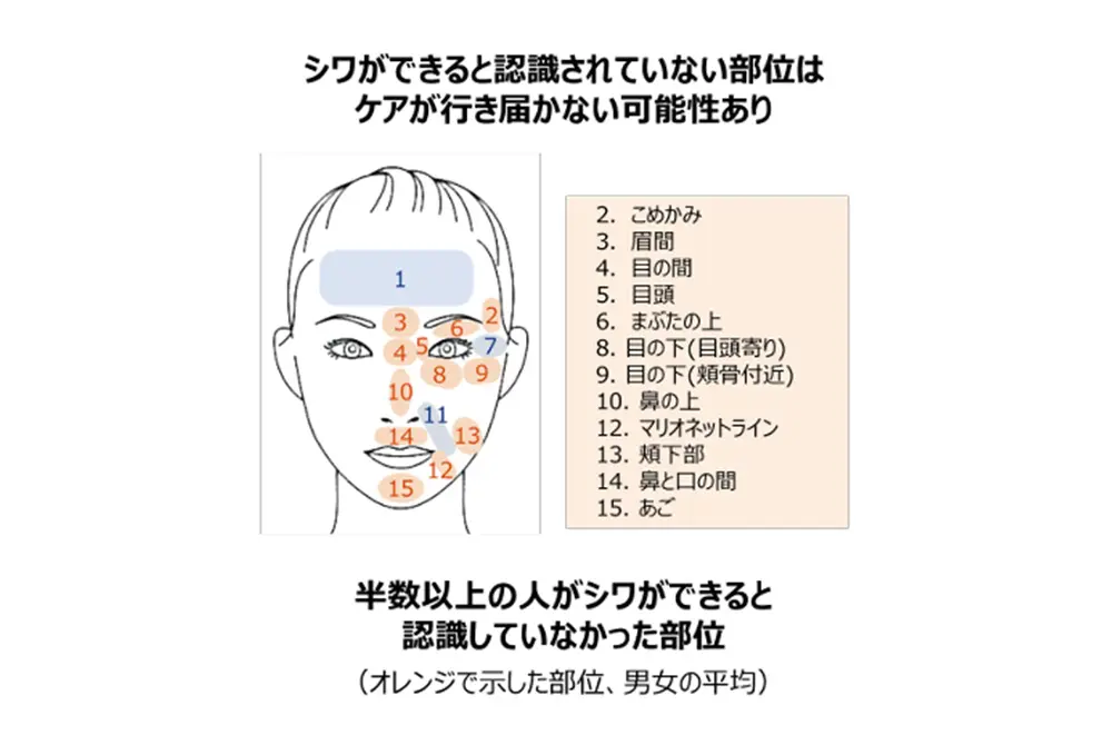 あまり認識されていない部位にもシワはできる。（出典／ポーラ化成工業）