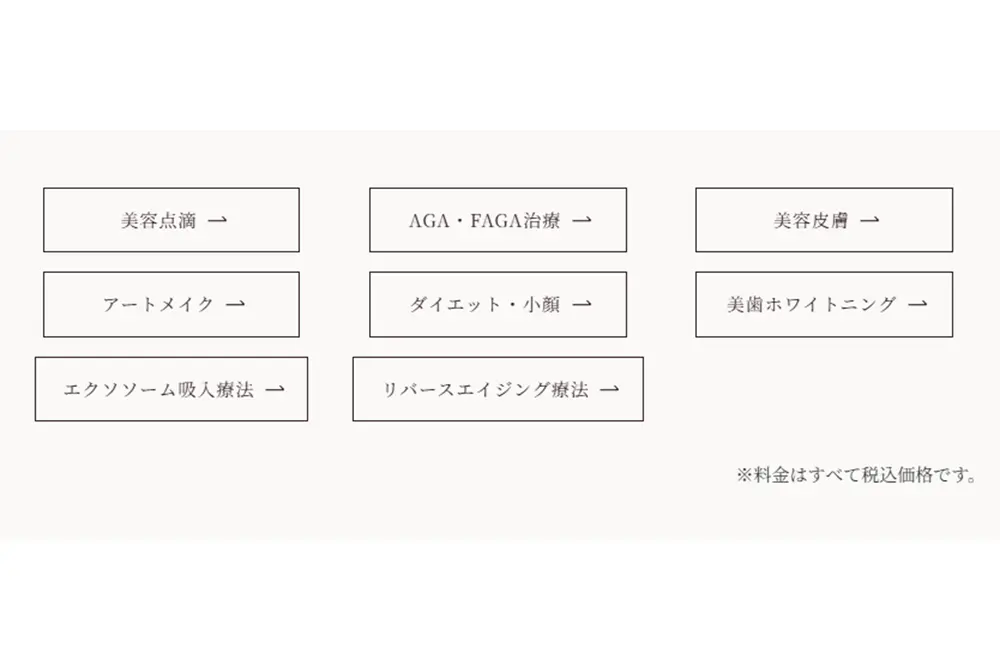 医師不在であるにもかかわらず、美容クリニックで提供される施術名が並んでいる。(出典/BITEKIPLUSウェブサイト)