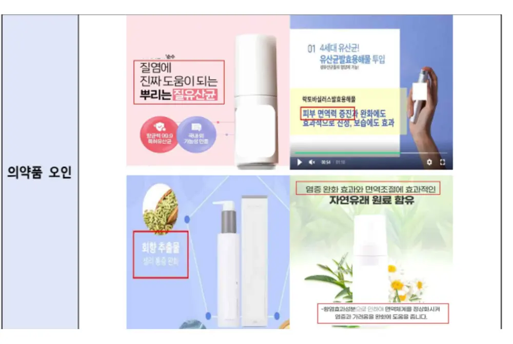 摘発された例。(出典/韓国食品医薬品安全処)