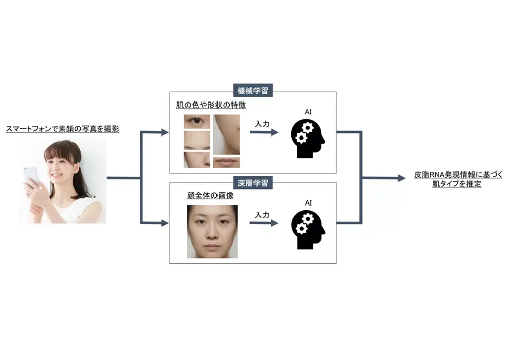 スマートフォンで撮影された画像から「RNA肌タイプ」を推定できる。（写真／花王）