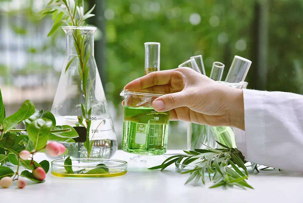 実際に手に取って選ぶ流れ。画像はイメージ。（写真／Adobe Stock）