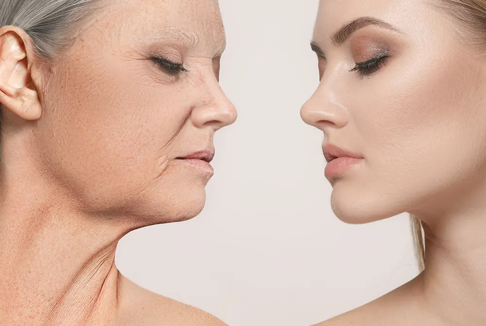 老化の程度を確かめた。画像はイメージ。（写真／Adobe Stock）