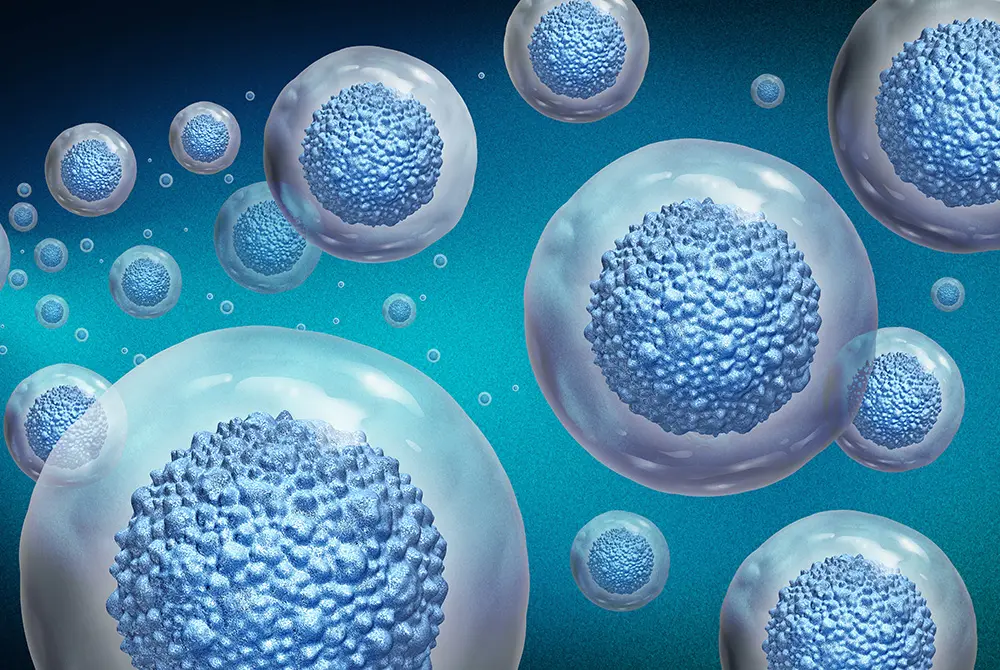 細胞を扱う再生医療。画像はイメージ。（写真／Adobe Stock）