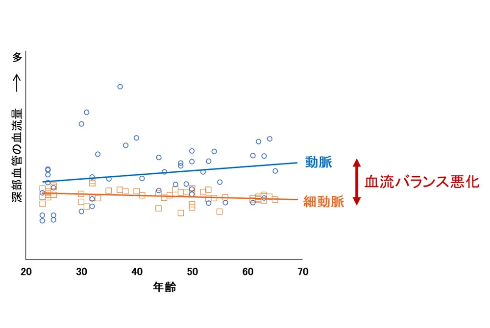 加齢による動脈と細動脈の血流量の変化を比較したグラフ