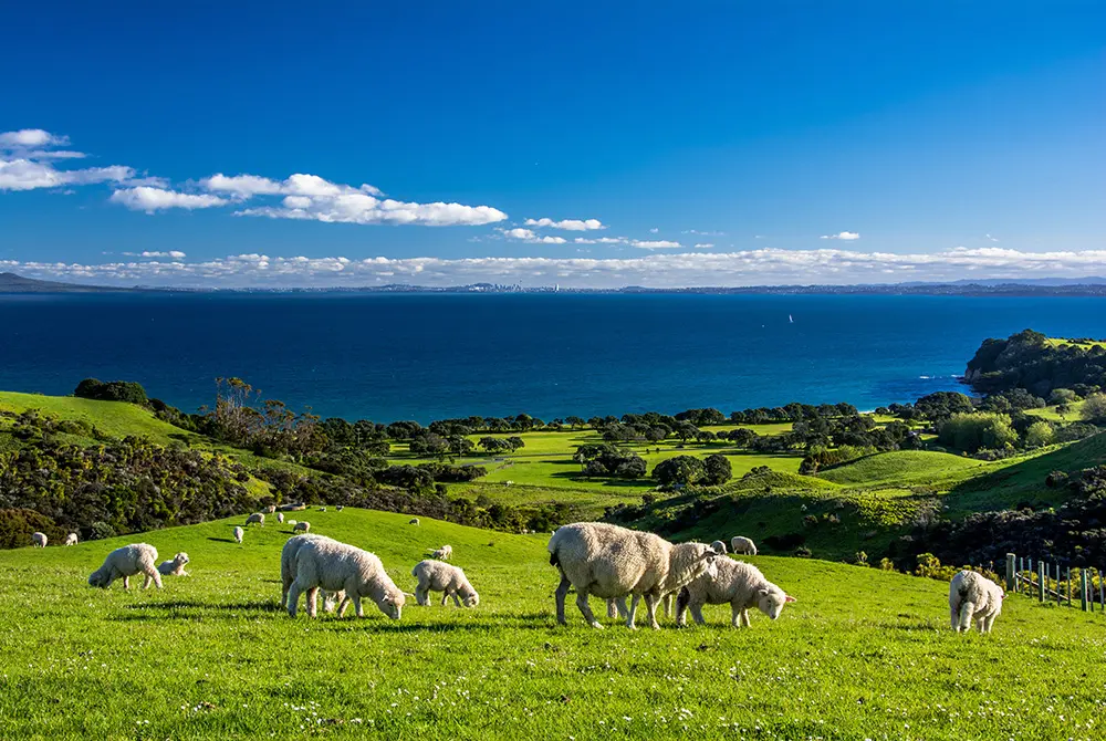 ニュージーランドは靱帯や環境などへの影響を重く見ている。写真はイメージ。（写真／Adobe Stock）