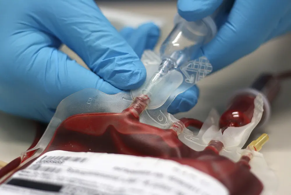 輸血を要する状況に。写真はイメージ。（写真／Adobe Stock）