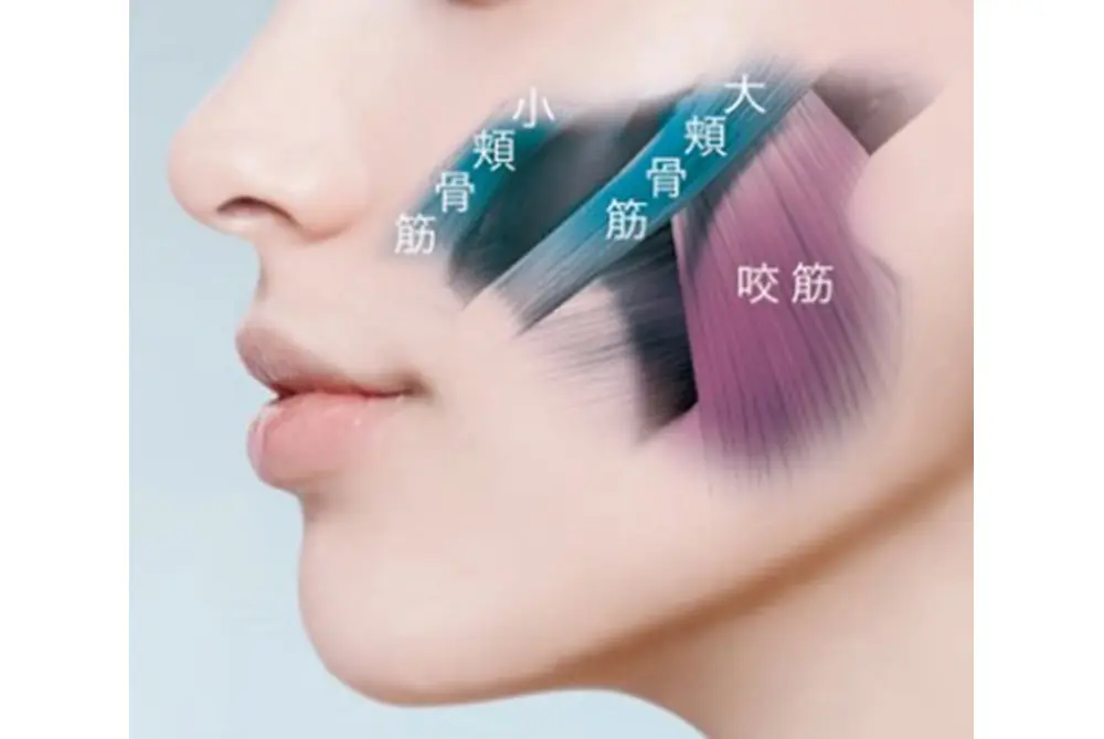ヤーマンのEMS美顔器がFDA認可取得、シワたるみ撃退で日本美容ブランド