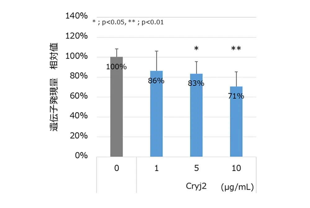 花粉の中にあるCryj2の影響で肌のバリアに関連するINV遺伝子が減っていく。（出典／富士フイルム）