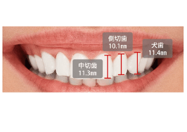 歯や歯の生え方、歯茎に原因がある場合